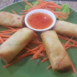 Involtini primavera