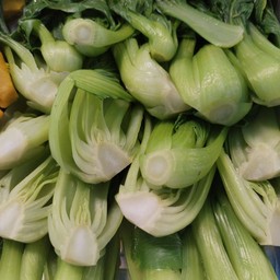 กวางตุ้งใต้หวัน ขีดละ