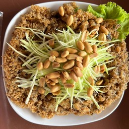 ปลาดุกฟู