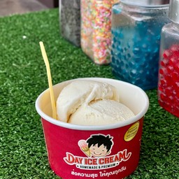 DAY ICE CREAM HOMEMADE & PREMIUM