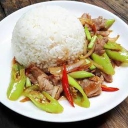 ข้าวราดผัดพริกสดหมูชิ้น