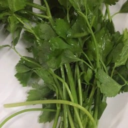 ขึ้นฉ่าย