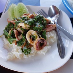 เรย์ทะเลดอง