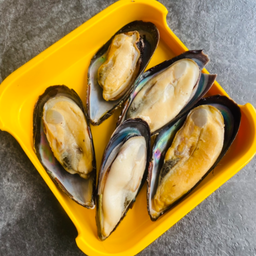 หอยนิวซีแลนด์