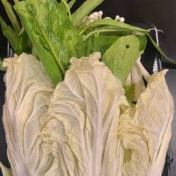 ผักชุดเล็ก