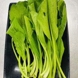 กวางตุ้ง