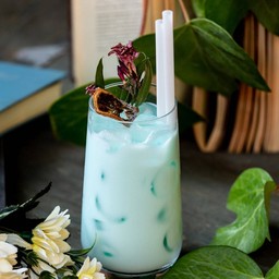 Mint Fresh milk ICE
