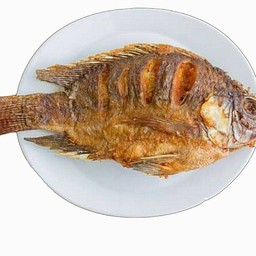 ปลานิลทอด+พริกน้ำปลา