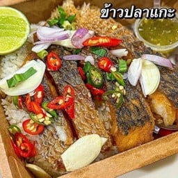 ชาใต้-เรินบ้านฉัน-ข้าวไข่ข้น (บ้านประตูไม้)