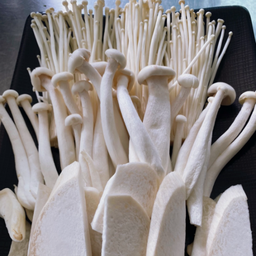 ชุดเห็ดรวม