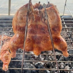 ไก่ย่างวิเชียรบุรี หนองปลาหมอ