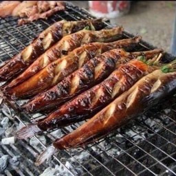 ปลาดุกย่าง