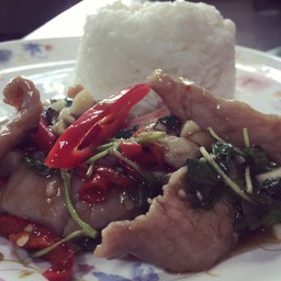 ข้าวกระเพราหมู