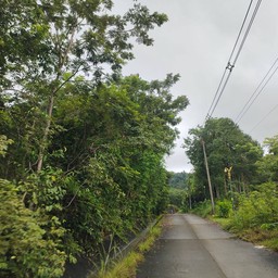 ทางไม่ลาดชันมาก