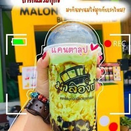 แคนตาลูป