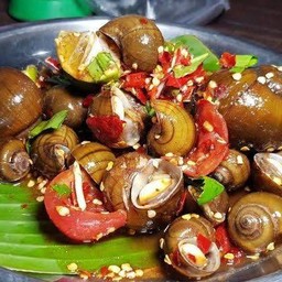 เหลาหอยโข่งนา