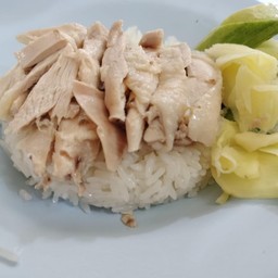 ข้าวมันไก่ต้ม ธรรมดา