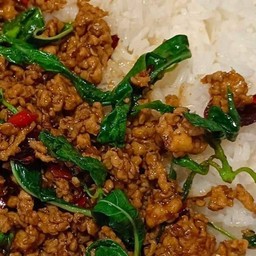 ผัดกระเพราหมูสับราดข้าว