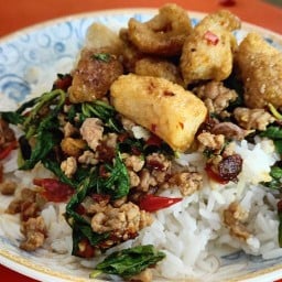 กะเพราห้องเช่า บางบัวทอง
