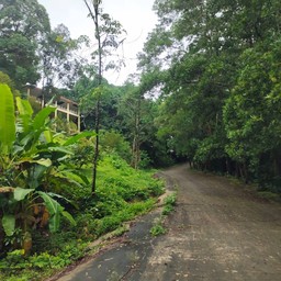 ร่มรื่นไปด้วยต้นไม้นานาพันธุ์