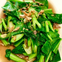 คะน้าน้ำมันหอย