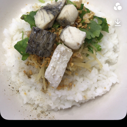 ข้าวต้มปลากระพง