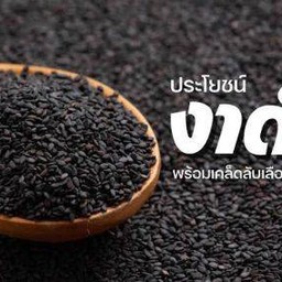 นมงัวงาดำ