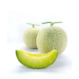 นมงัวแคนตาลูป