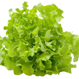 ร้านกลมกล่อม