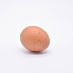 ไข่ไก่
