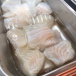 ปลาดอลลี่