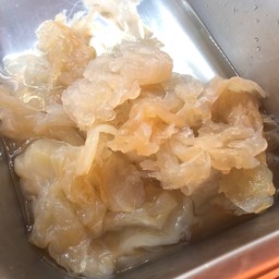 แมงกะพรุน