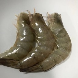 กุ้ง