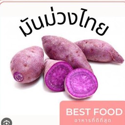 นมงัวมันม่วง