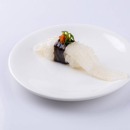 ครีบปลาตาเดียว