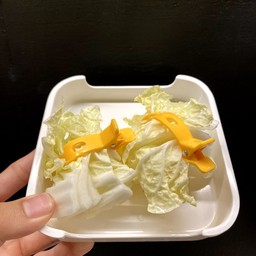 ผักกาดขาว