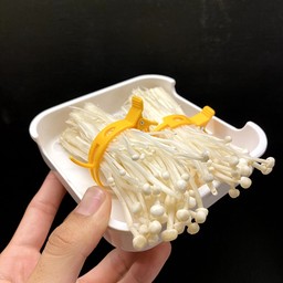 เห็ดเข็มทอง