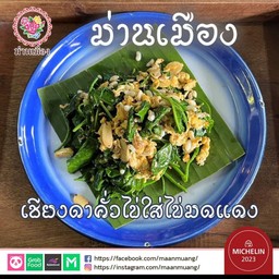เชียงดาคั่วไข่มดแดง