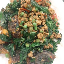 กระเพราไก่สับ