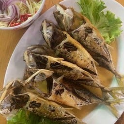 ปลาทูน้ำปลา 5 ตัว