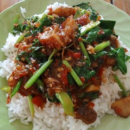 ร้านลูกเจี๊ยบ