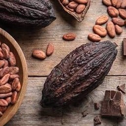 Cocoa ( โกโกั )