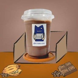 Cocoa (โกโก้)