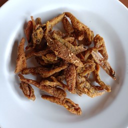 ปลากรอบ