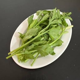 ตั้งโอ๋