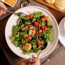 ร๊อคเกตสลัดหอยเชลล์