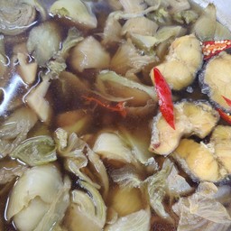 ปลาช่อนเกี้ยมไฉ่