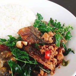 ข้าวไข่เยี่ยวม้ากระเพรากรอบ