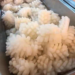 ปลาหมึก