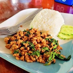 ข้าวกะเพราหมู